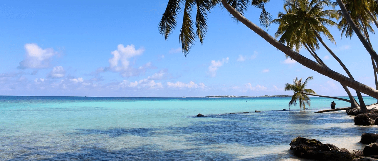 Wedding Planners in Maldives