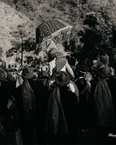  Best Wedding Decorator In Shimla