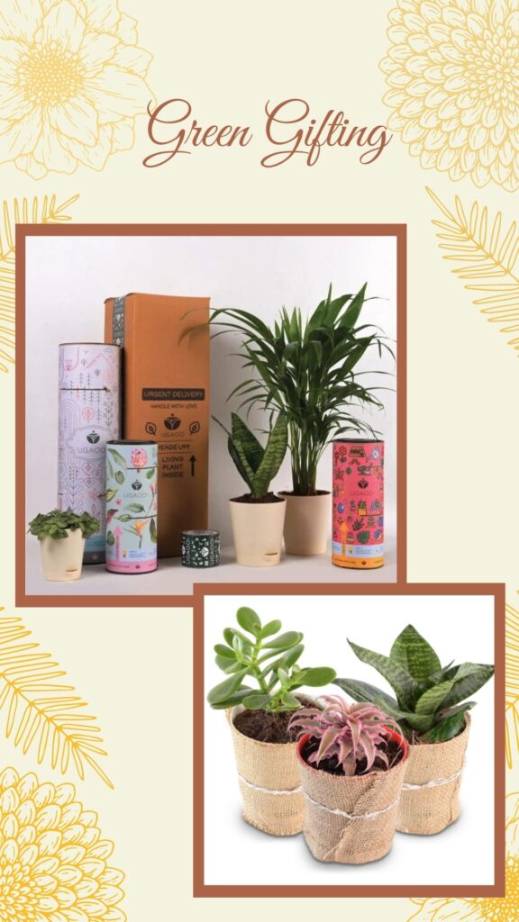 A Guide to Sustainable Wedding Gifting