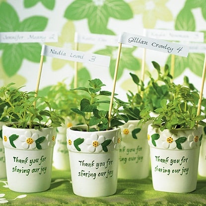 potted plants