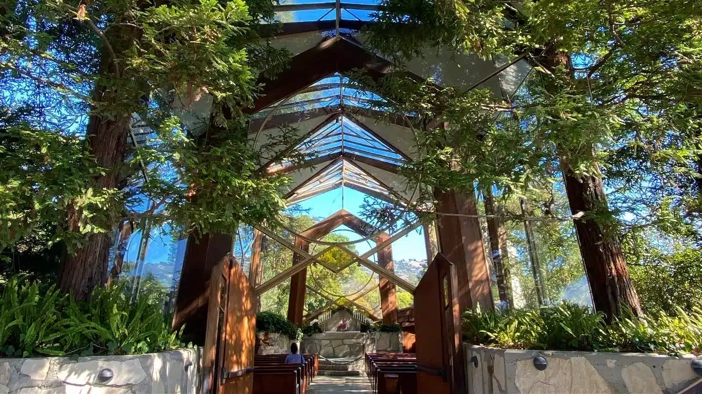 Top 10 Wedding Venues in Vadodara